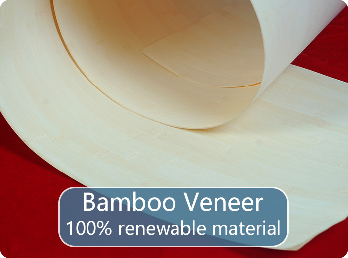 bamboo veneer